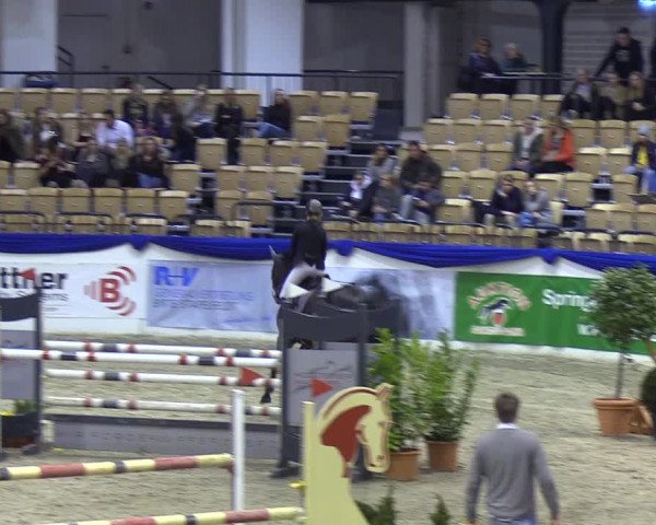 Reitturnier Neumünster 2019