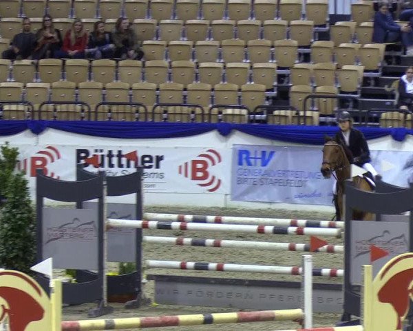 Reitturnier Neumünster 2019