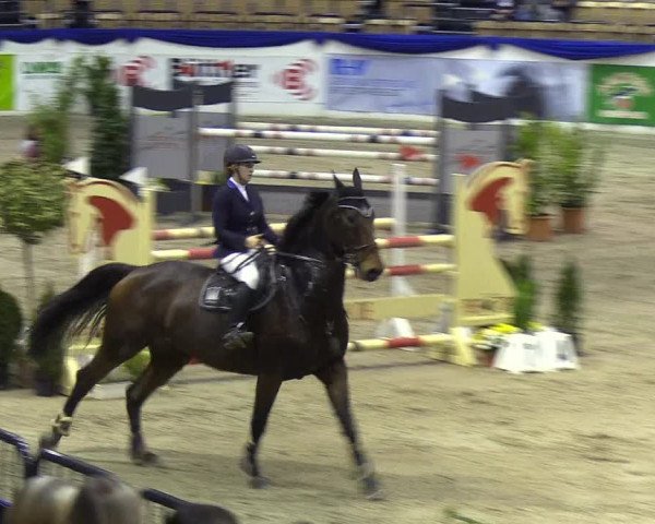 Reitturnier Neumünster 2019