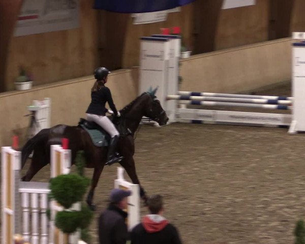 Reitturnier Hövelhof 2019