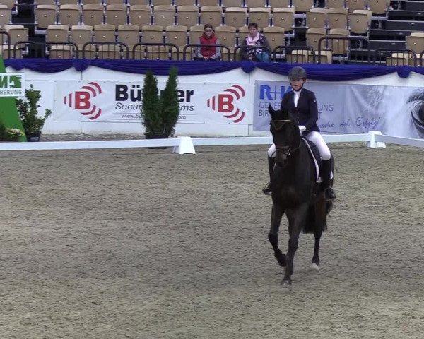 Reitturnier Neumünster 2019