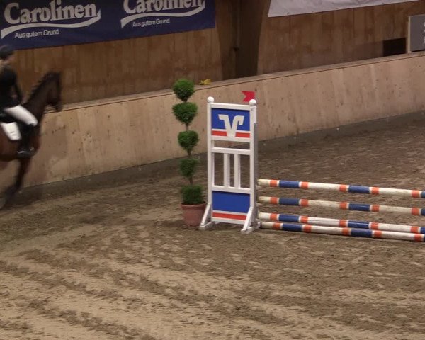 Reitturnier Hövelhof 2019
