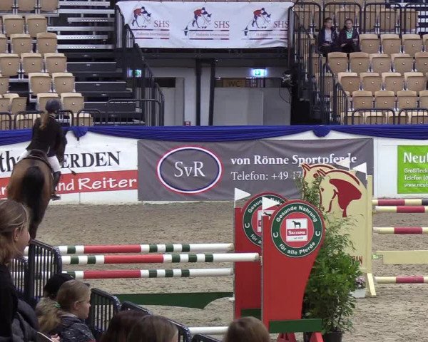 Reitturnier Neumünster 2019