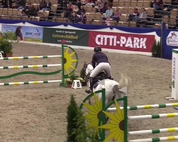 Reitturnier Neumünster 2019