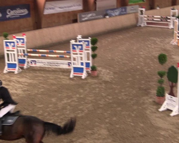 Reitturnier Hövelhof 2019