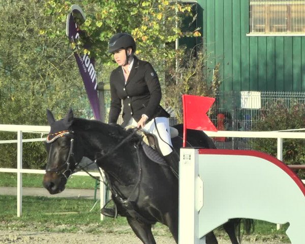 Reitturnier Langenau 2019