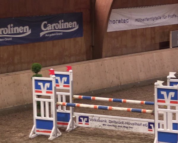 Reitturnier Hövelhof 2019