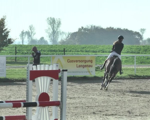 Reitturnier Langenau 2019