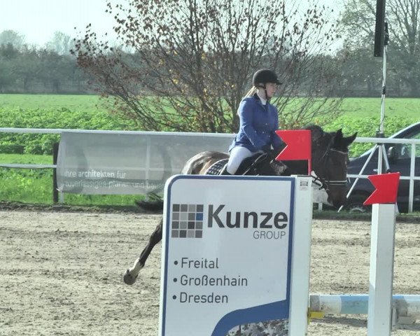 Reitturnier Langenau 2019