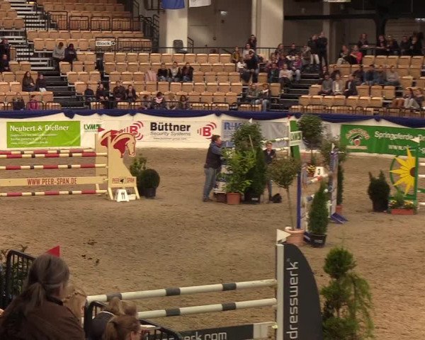 Reitturnier Neumünster 2019