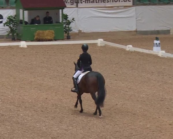 Reitturnier Kreuth/Opf. 2019