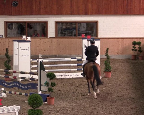 Reitturnier Hövelhof 2019