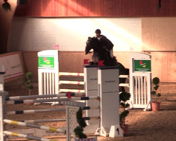 Reitturnier Hövelhof 2019
