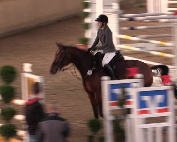 Reitturnier Hövelhof 2019