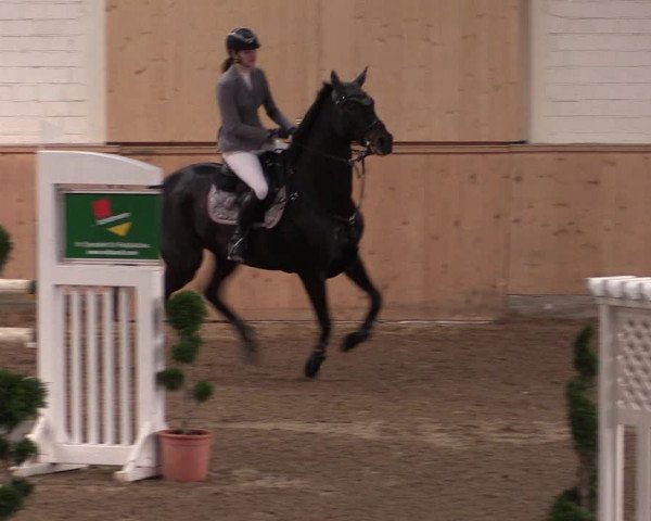 Reitturnier Hövelhof 2019
