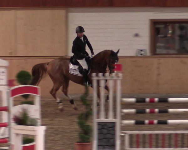 Reitturnier Hövelhof 2019