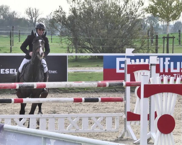 Reitturnier Langenau 2019