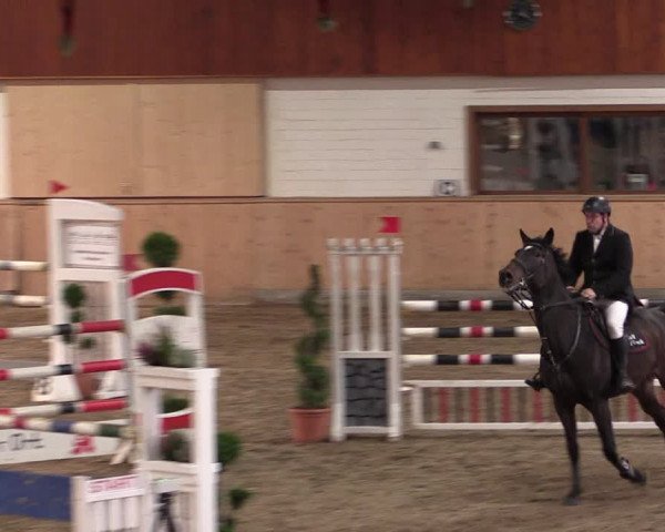 Reitturnier Hövelhof 2019