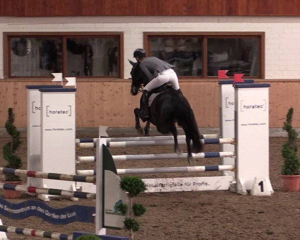Reitturnier Hövelhof 2019