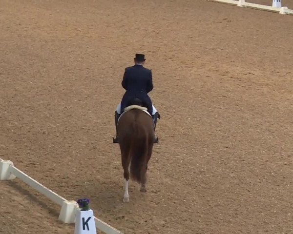 Reitturnier Kreuth/Opf. 2019