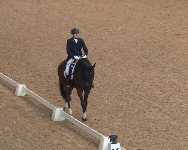 Reitturnier Kreuth/Opf. 2019