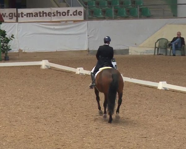 Reitturnier Kreuth/Opf. 2019