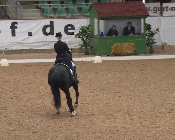 Reitturnier Kreuth/Opf. 2019