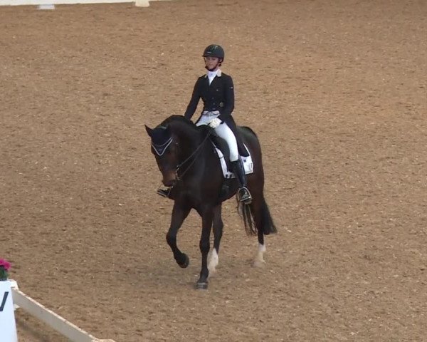 Reitturnier Kreuth/Opf. 2019