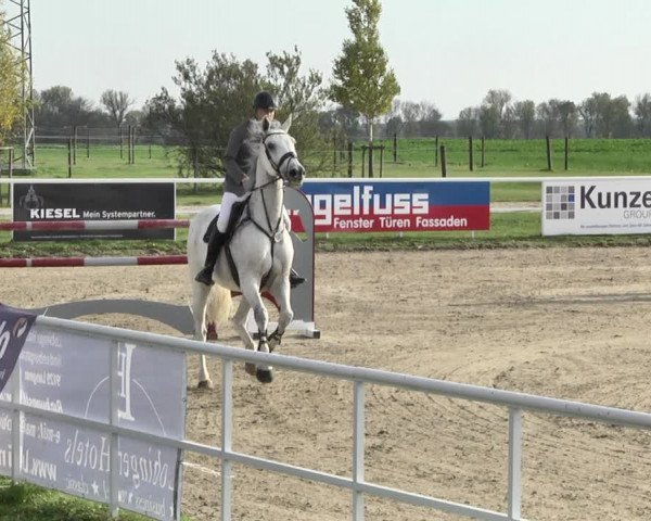 Reitturnier Langenau 2019