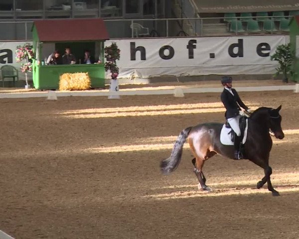 Reitturnier Kreuth/Opf. 2019