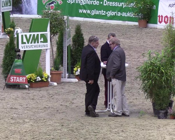 Reitturnier Neumünster 2019