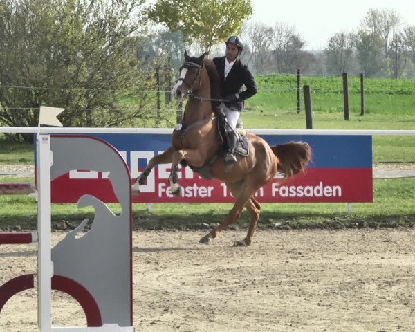 Reitturnier Langenau 2019