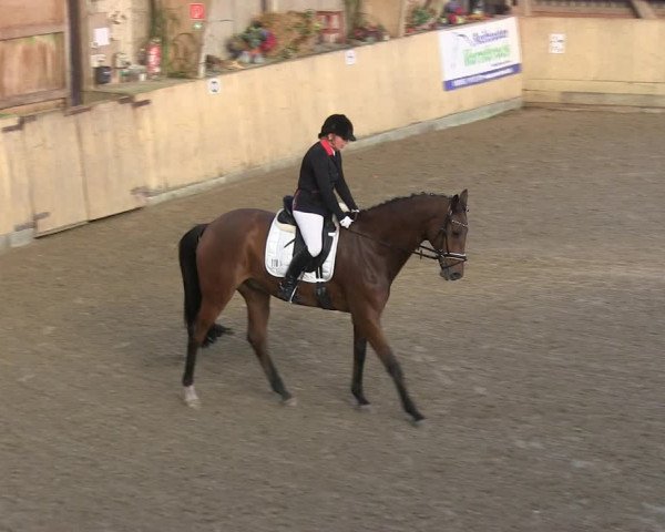Reitturnier Sörup 2019