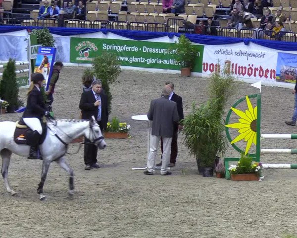 Reitturnier Neumünster 2019