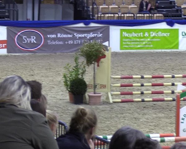 Reitturnier Neumünster 2019