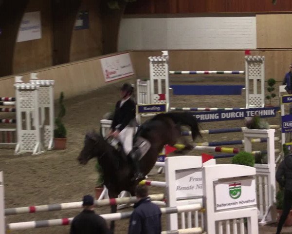 Reitturnier Hövelhof 2019