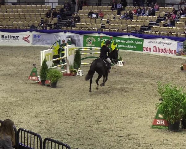 Reitturnier Neumünster 2019