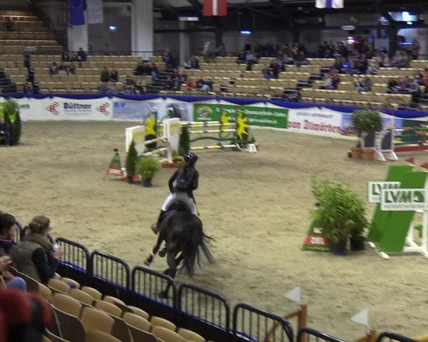 Reitturnier Neumünster 2019