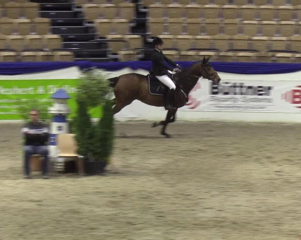 Reitturnier Neumünster 2019