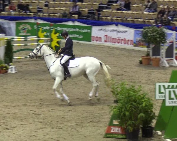 Reitturnier Neumünster 2019