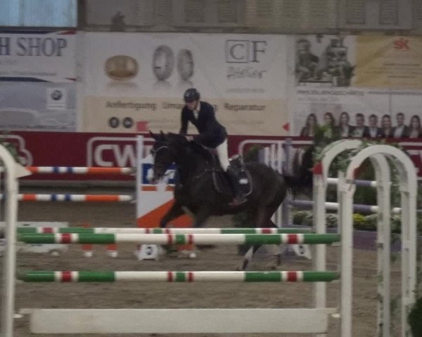 Reitturnier Wachtberg-Adendorf 2019