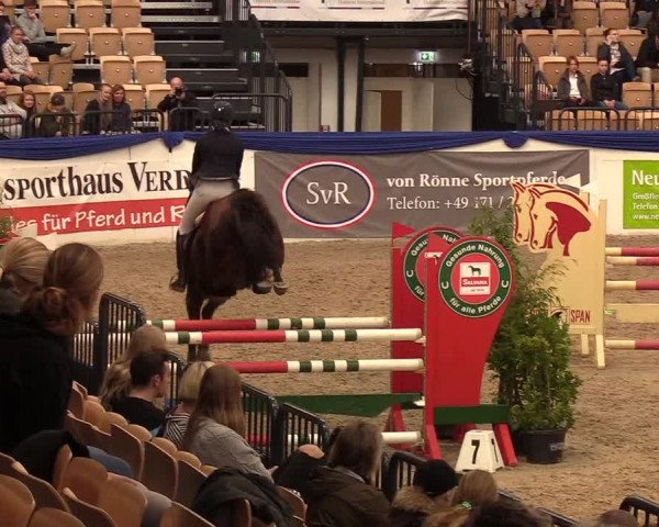 Reitturnier Neumünster 2019