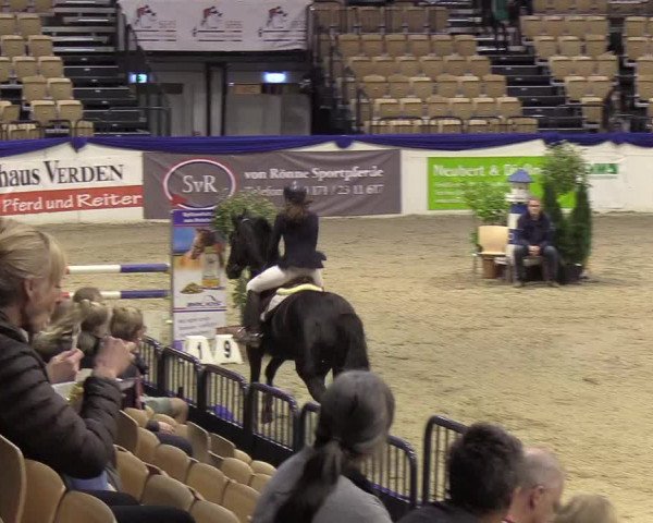 Reitturnier Neumünster 2019