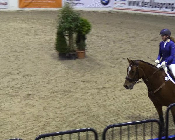 Reitturnier Neumünster 2019