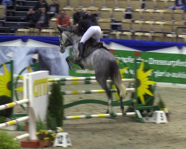 Reitturnier Neumünster 2019