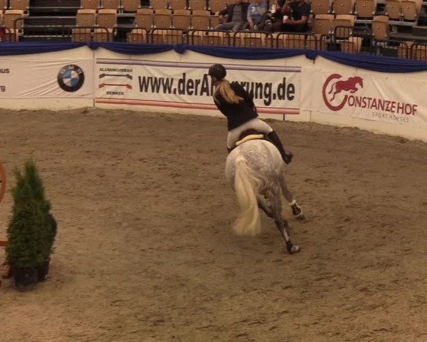 Reitturnier Neumünster 2019