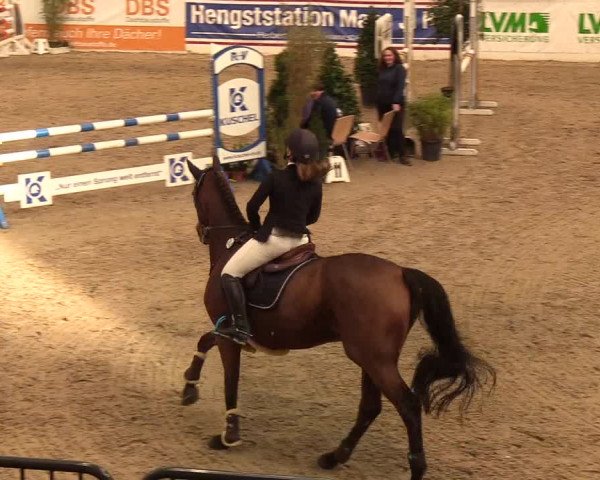 Reitturnier Neumünster 2019