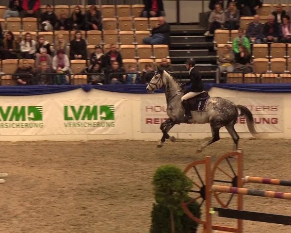 Reitturnier Neumünster 2019