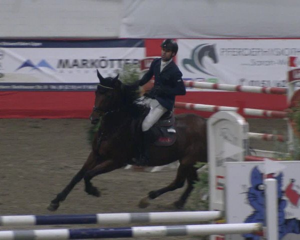 Reitturnier Salzkotten 2019