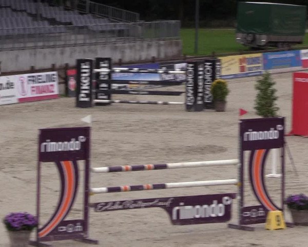 Reitturnier Westergellersen 2021